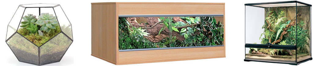 plastic vivarium for sale