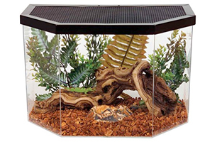 snake vivarium