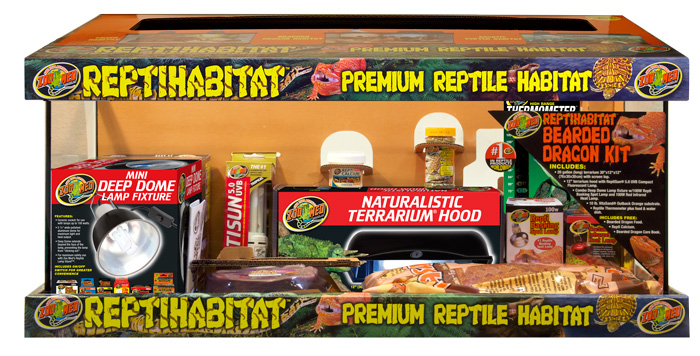 bearded dragon vivarium start kit