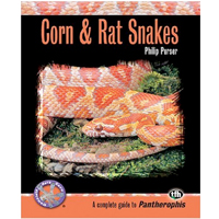 Corn and Rat Snakes