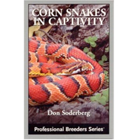 Corn Snakes In Captivity