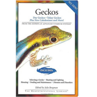 geckos book