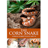 The Corn Snake