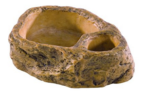 gecko-water-bowl