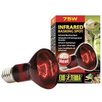 infrared gecko light