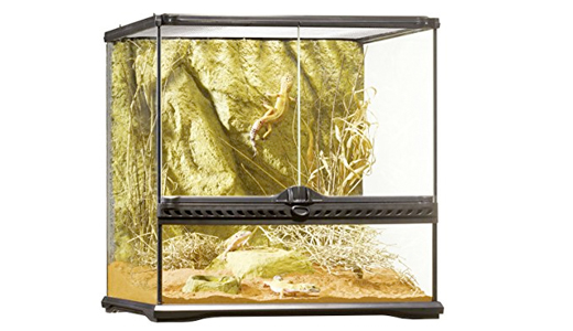horizontal glass vivarium for geckos
